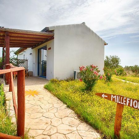 Agriturismo Mieleamaro Olbia Exterior photo